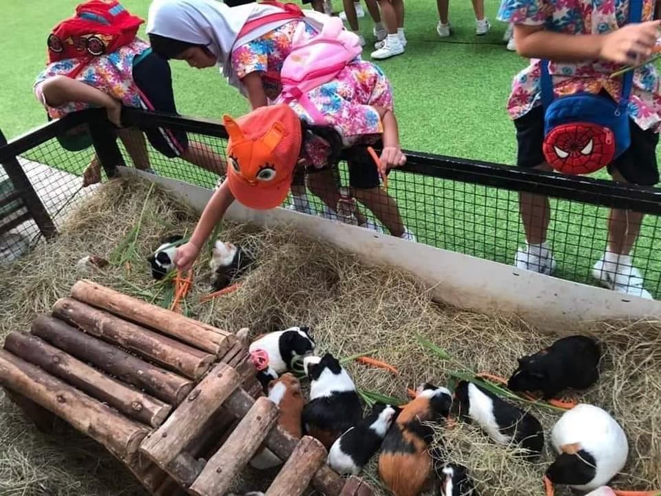 Экскурсия Хэппи тур в Паттайе - SevenTrips